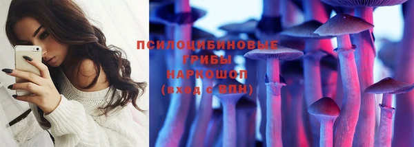 крисы Белокуриха