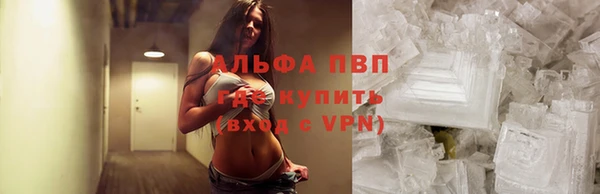 крисы Белокуриха