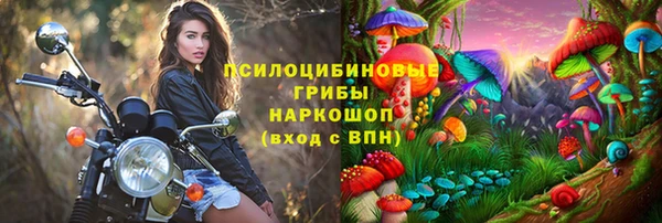 крисы Белокуриха