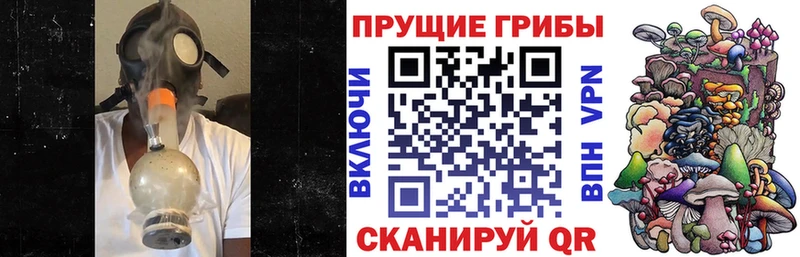 что такое   Сковородино  darknet какой сайт  Галлюциногенные грибы прущие грибы 